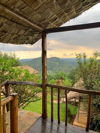 Kikooko Africa Safaris (Entebbe) - 2022 What to Know Before You Go ...