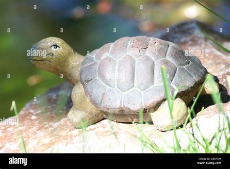 Small Basic Turtle 的图像结果