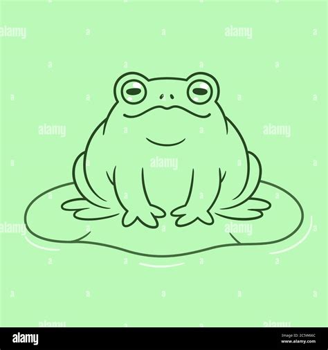 Image result for Toad Basic Drawing
