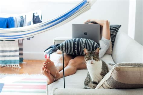 Person Lying on Sofa With Cat · Free Stock Photo