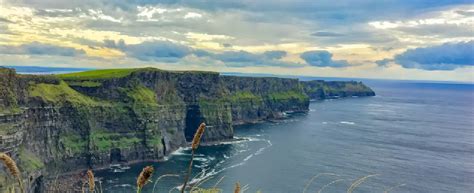 6 Best Bachelor's Courses in Ireland for International Students