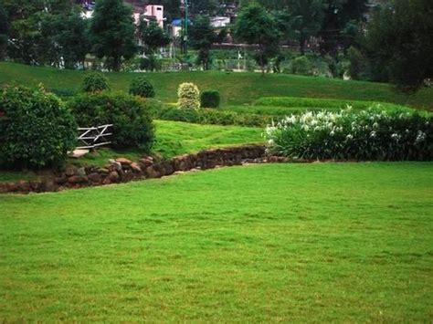 Landscape Development And Consultancy Services in Nagpur India
