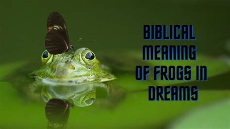 What Is The Meaning Of Frog In Your Dream at Eloise Rameriz blog