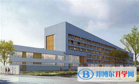 宁波滨海国际合作学校2023年招生简章