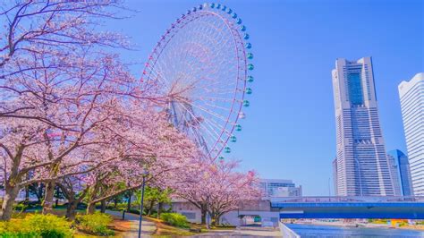 Introduction: A Family Vacation in Yokohama Itinerary » Agoda: See The World For Less