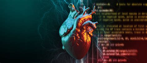 Cartoon Heart Algorithm 的图像结果