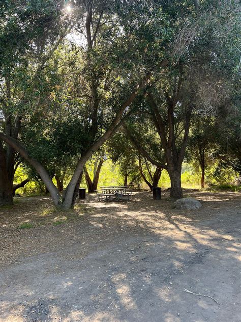 Aliso and Wood Canyons Wilderness Park