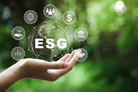 ESG在国内的发展如何？__财经头条