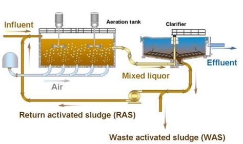 Image result for Activated Sludge Software