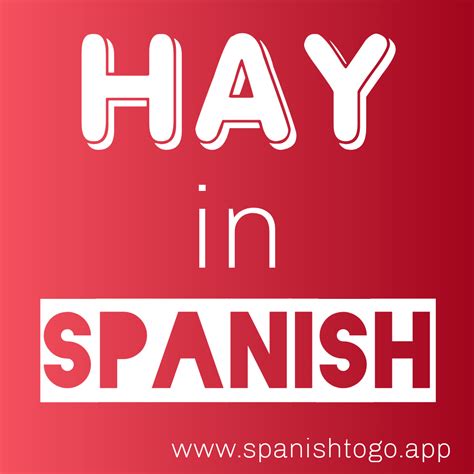 How to use HAY IN SPANISH?📕 https://www.spanishtogo.app/2021/04/what ...