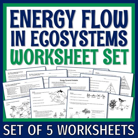 Energy Flow In Ecosystems Worksheet