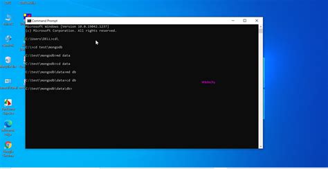 MongoDB Tutorial 的图像结果