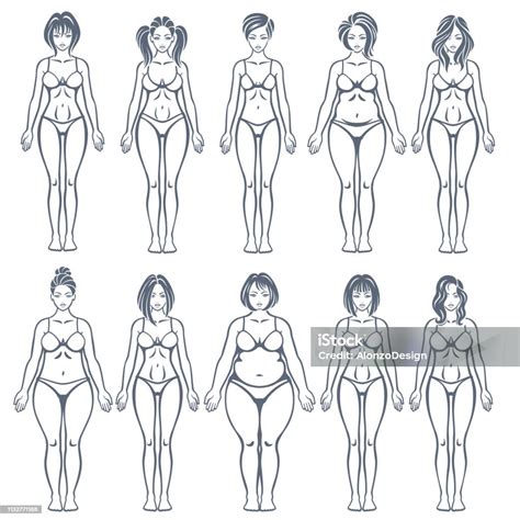 Ilustración de Tipos De Cuerpo Femenino y más Vectores Libres de ...