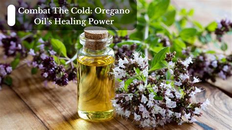 Combat The Cold: Oregano Oil's Healing Power