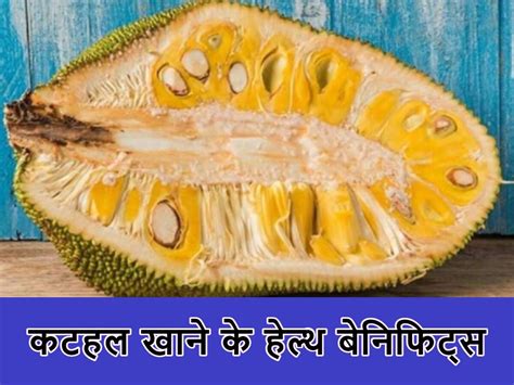kathal health benefits jackfruit dishes in diet will remove five ...