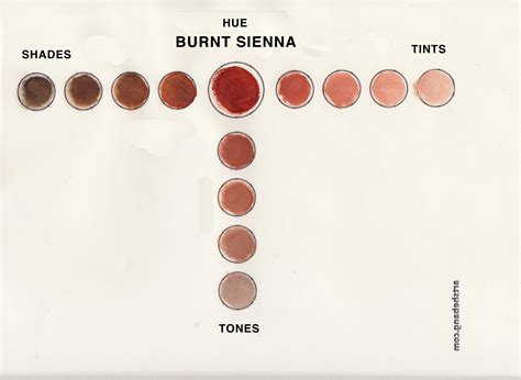 Burnt Sienna - Shade 20 Information | Art Shebang