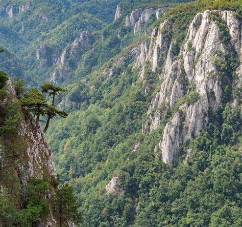 LAZAR'S CANYON (2025) All You Need to Know BEFORE You Go (with Photos ...