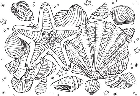 Hand drawn coloring page for kids and adults. Summer beach, sea shells ...
