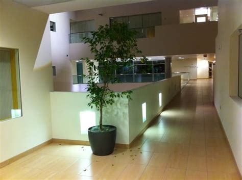 MIT Building 的图像结果