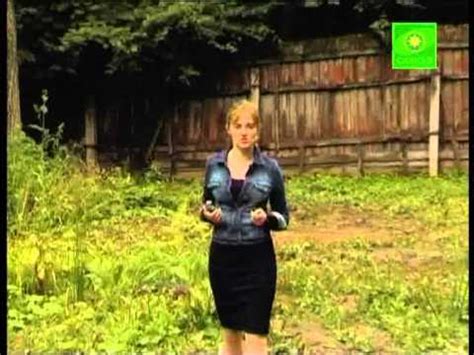 В Подмосковье начал работу 2-й трудовой лагерь - YouTube
