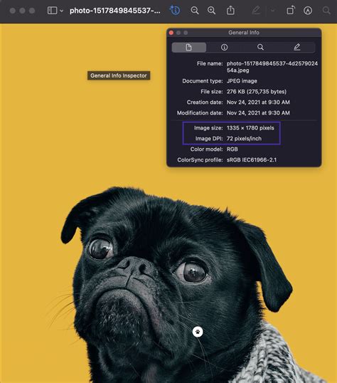 Check My Resolution 的图像结果