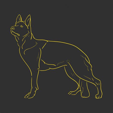 Rezultat imagine pentru Dogs Programmes