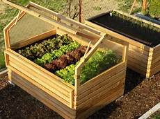 garten hochbeet selber garten hochbeet selber bauen bau eines neuen hochbeetes garten hochbeet selber garten hochbeet selber bauen bau eines neuen hochbeetes