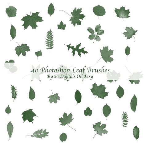 Download Leaves Brushes at Mary Lockridge blog