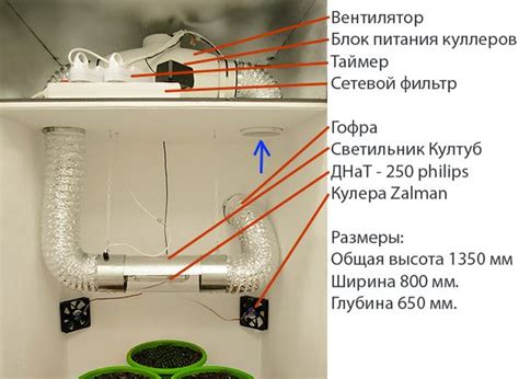Вентиляция в гроубоксе как должна работать