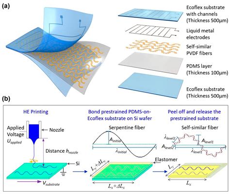 The Preparation, Structural Design, and Application of Electroactive ...