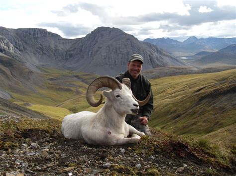 Hunting on Brooks Range | Hunting in Alaska
