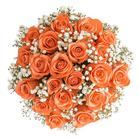 Big Bouquets of Orange Roses Two Dozen Freshest Flowers