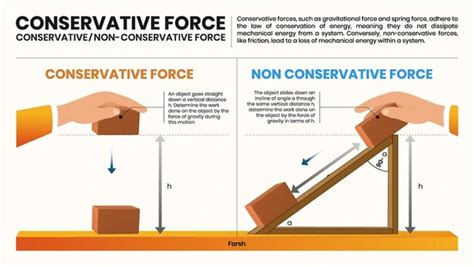 Examples of Conservative Forces 的图像结果