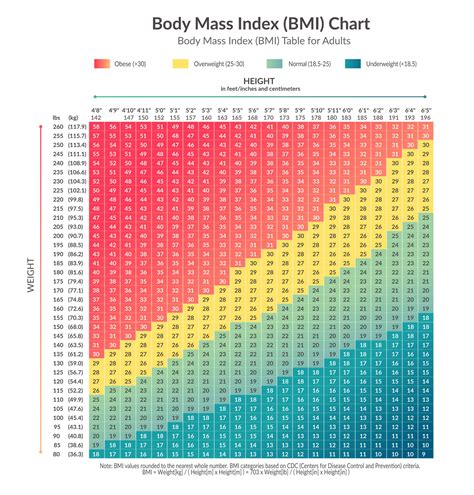 Womans Bmi Chart For Women By Age - Aljism Blog