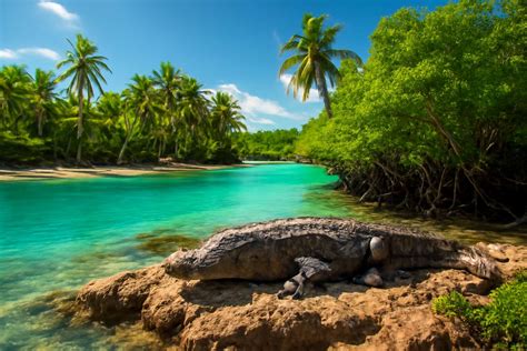 Facts About Crocodile