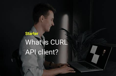 Image result for How to Use Curl API