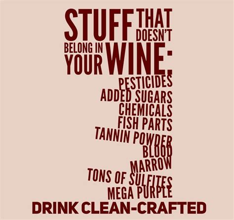 Scout cellar clean crafted wine review – Artofit