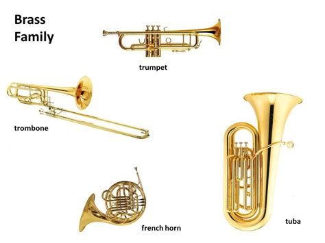 Image result for Different Types of Horns Instruments