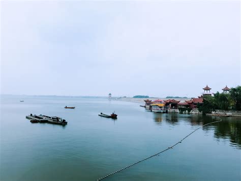 春天的秦岭，山花烂漫，流水潺潺，等你来赏