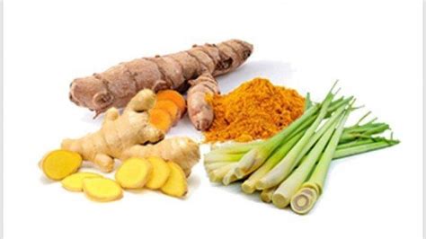 manfaat air rebusan jahe kunyit dan bawang putih