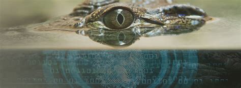 Image result for Fraud Detection Software Solutions