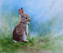 Image result for Bunny in Tea Cup Painting