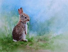 Image result for Watercolour Rabbit Painting