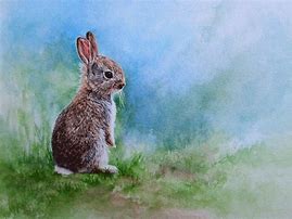 Image result for Simple Rabbit Painting