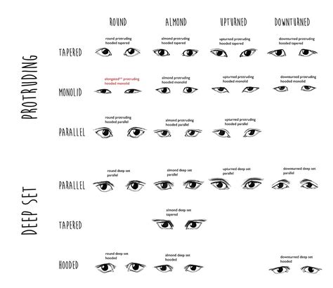 EYE SHAPES chart | Eye shape chart, Shape chart, Eye shapes