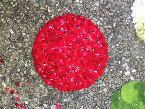 Simple Nature Crafts 的图像结果