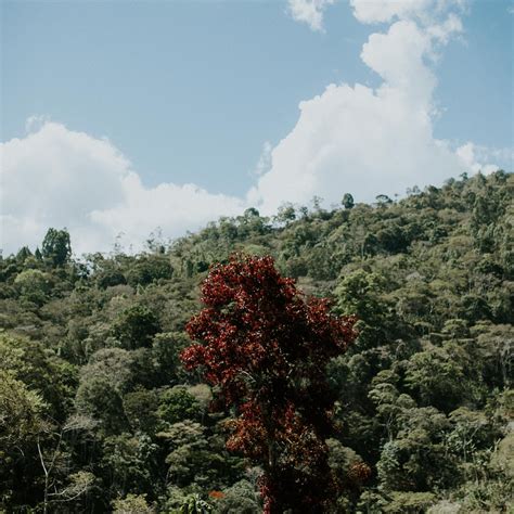 LA RUTA DEL DUENDE (Updated 2026) All You Need to Know BEFORE You Go ...