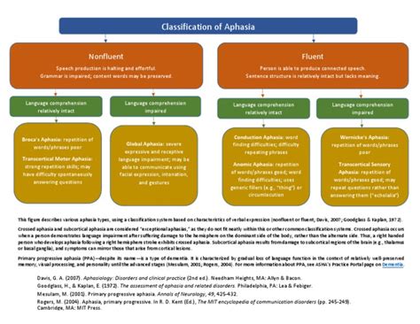 Aphasia Algorithm 的图像结果