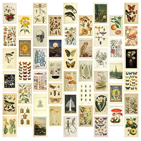 Vintage Aesthetic Wall Collage Kit - 50 Mini Botanical Cottagecore ...