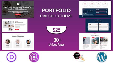 Divi Portfolio Theme - Divi Professional